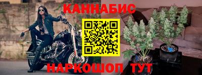 крисы Нальчик