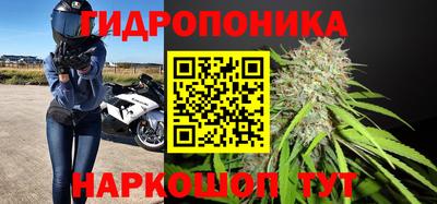 кокс Можайск