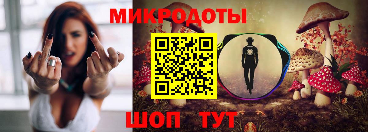 Псилоцибиновые грибы Cubensis  Галлюциногенные грибы мицелий  Вход с VPN  Вичуга 